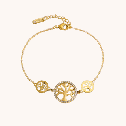 Gold Circle Chain Bracelet - Jewelry - 18k Gold Plated Waterproof Jewellery - Collection 9